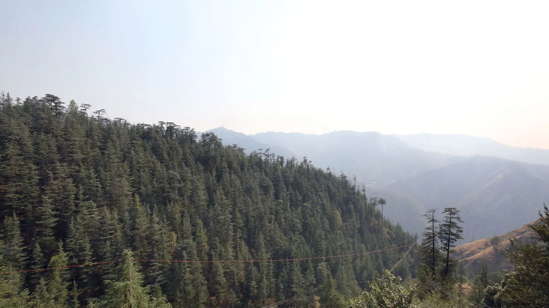 Pine Forest 2Rk Home In Bharari Shimla 0*,