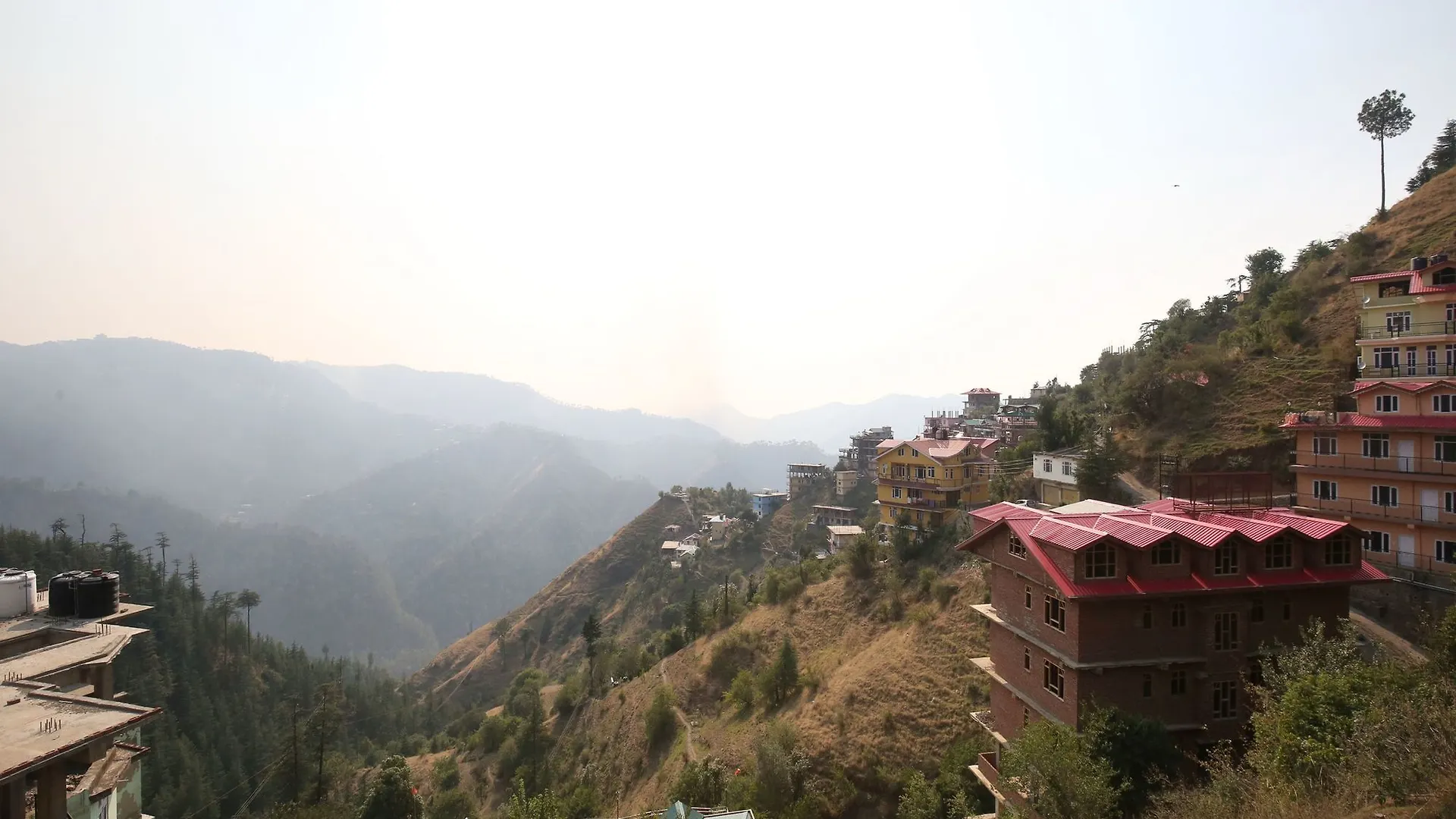 Pine Forest 2Rk Home In Bharari Shimla Apartment